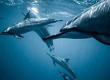 九游官网登录-开云体育：点亮体育生活的全方位体验